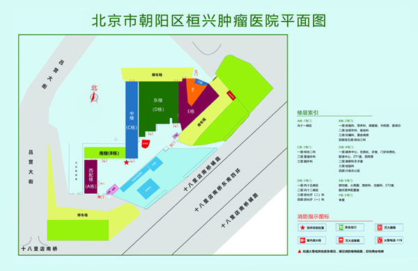 欧美性交抽插视频北京市朝阳区桓兴肿瘤医院平面图